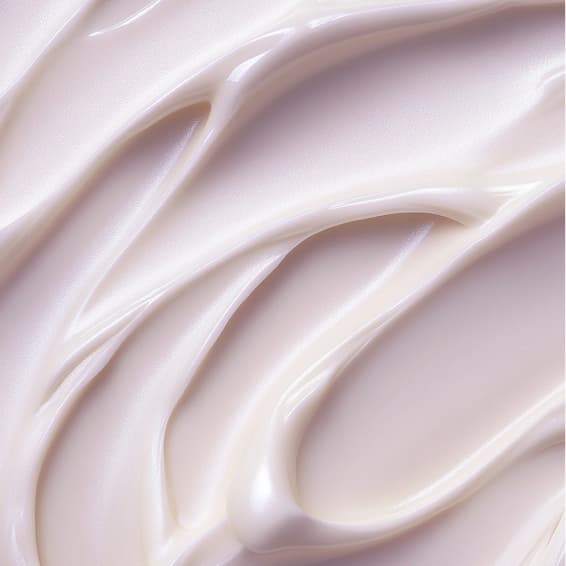 8 Sculpt Sessions at Yoanny Beauty Spa in Schaumburg IL, IL